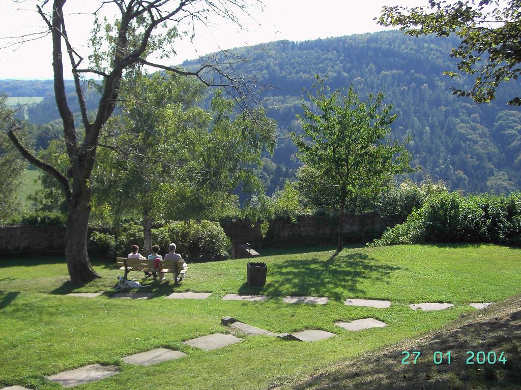 Historisches Ferienhaus Veste Dilsberg Neckargemünd Buitenkant foto