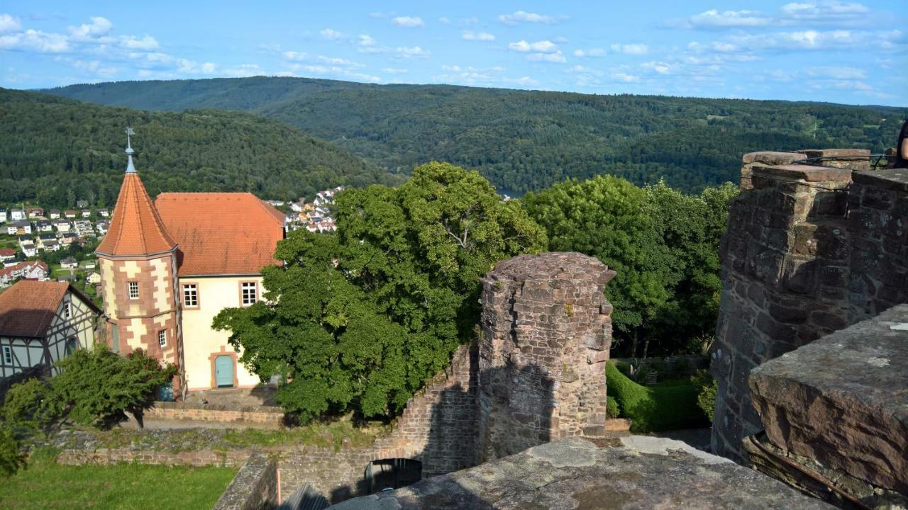 Historisches Ferienhaus Veste Dilsberg Neckargemünd Buitenkant foto